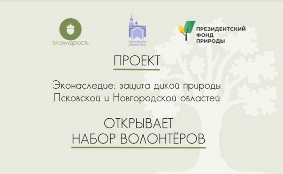 Псковичей приглашают стать волонтерами проекта «Эконаследие: защита Псковской и Новгородской областей»