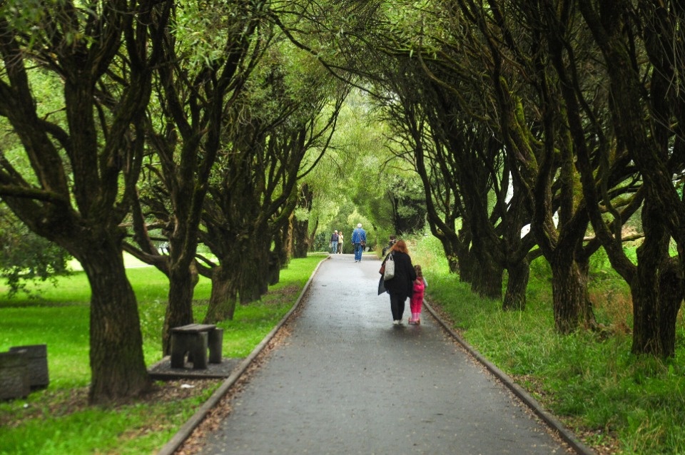 До +26 градусов ожидается в Псковской области 9 сентября