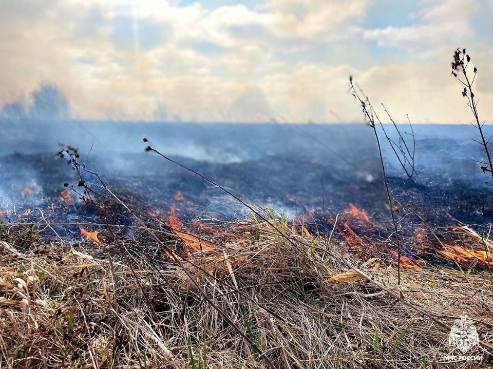 Высокая пожарная опасность ожидается в Псковской области с 13 сентября Высокая пожарная опасность ожидается в Псковской области с 13 сентября