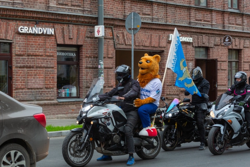 Псковский барсик отправился на выборы с байкерами