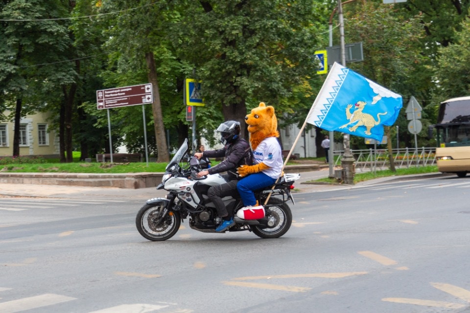 Псковский барсик отправился на выборы с байкерами