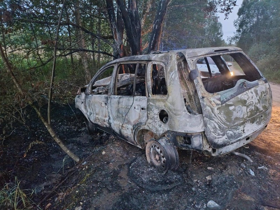 Пять человек погибли и 21 пострадал в результате ДТП в Псковской области за неделю 