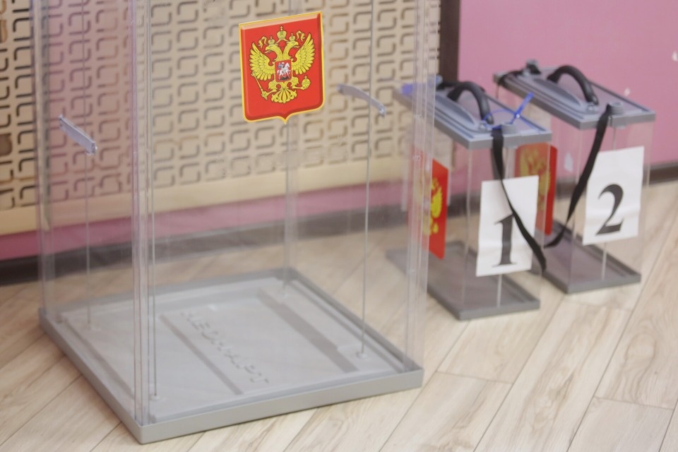 Выложены предварительные итоги довыборов в Собрание депутатов Стругокрасненского муниципального округа по округу №3