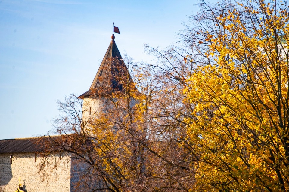 До +20 градусов прогреется воздух в Псковской области 16 сентября 