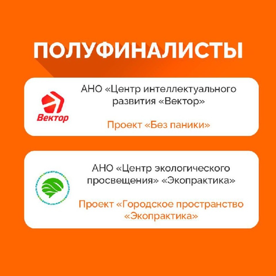 В Псковской области определены победители регэтапа премии взаимопомощи #МЫВМЕСТЕ