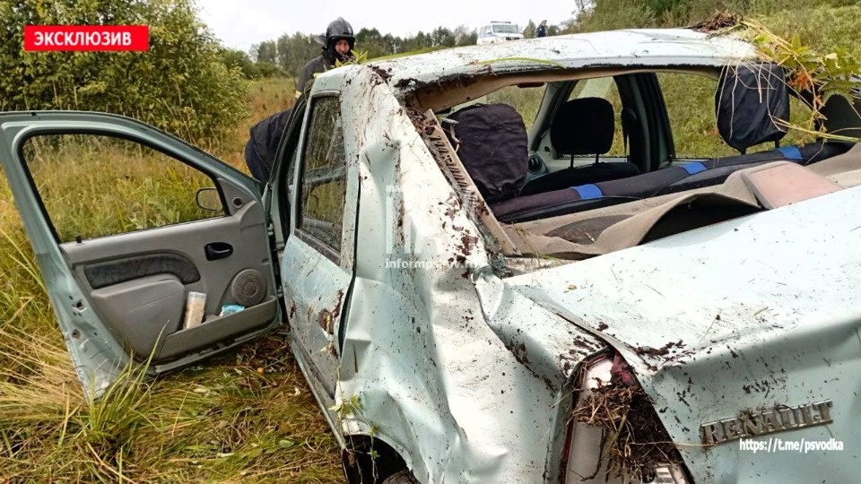 Таксист вылетел в кювет в Невельском районе 