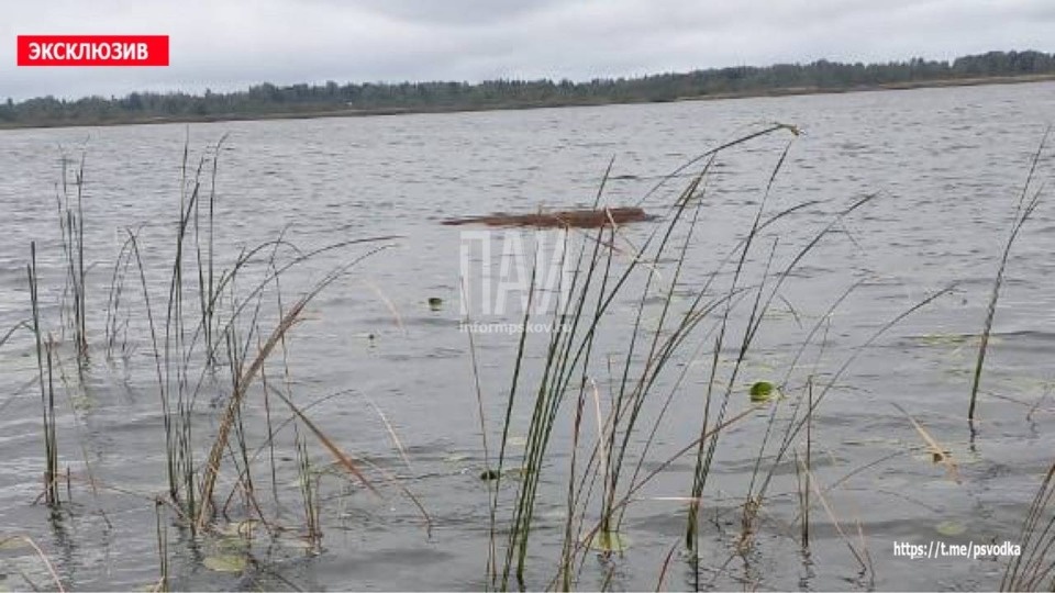 Тело рыбака обнаружили в акватории невельского озера