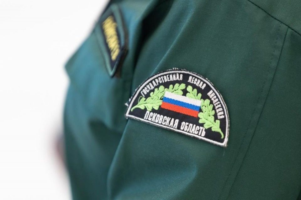 25 работников лесного хозяйства Псковской области удостоили федеральных и региональных наград 