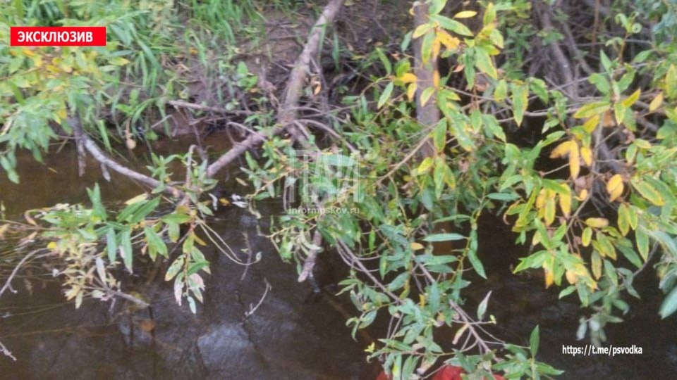 Тело пенсионера обнаружили в реке Великой в Пушкиногорском районе