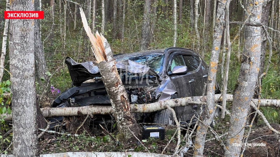 Пассажирку иномарки доставили в больницу после ДТП в Псковском районе Пассажирку иномарки доставили в больницу после ДТП в Псковском районе