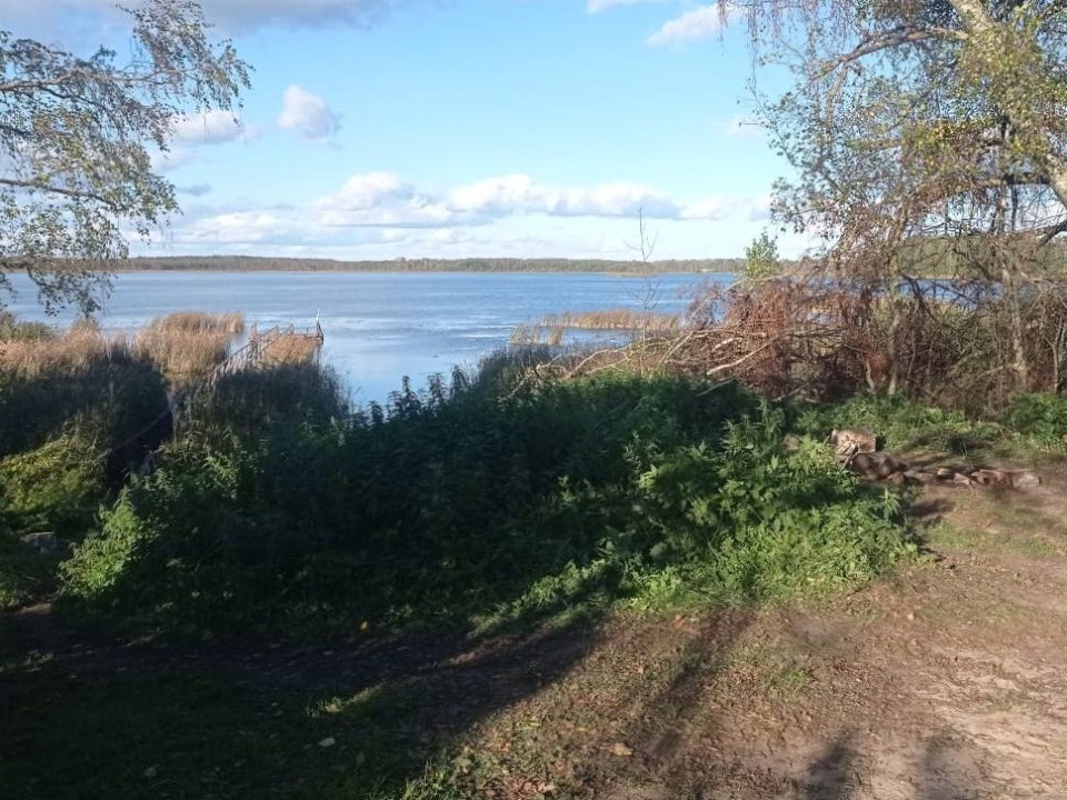 Следователи проводят проверку по факту гибели мужчины в озере в Пустошкинском районе