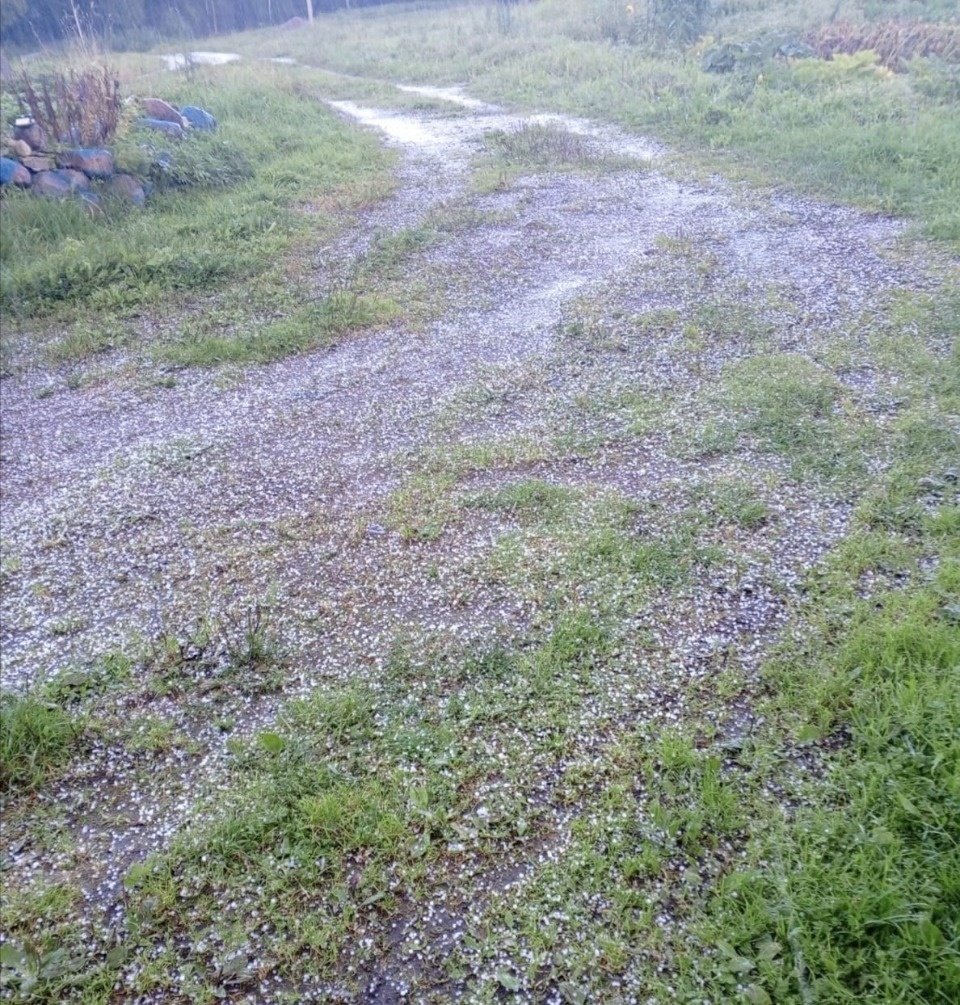 Метеоролог: По северу Псковской области прошли залповые осадки