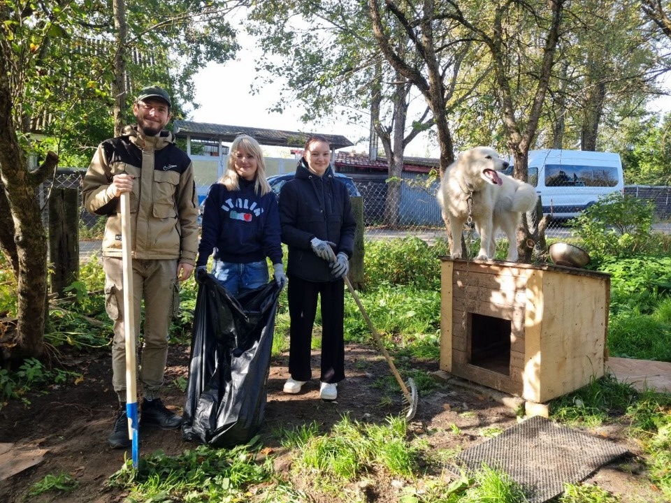Студенты ПсковГУ оказали волонтерскую помощь приюту для животных в Плюссе