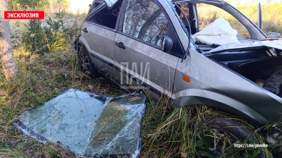 Водитель пострадала в результате ДТП на дороге Опочка - Красногородск Водитель пострадала в результате ДТП на дороге Опочка - Красногородск