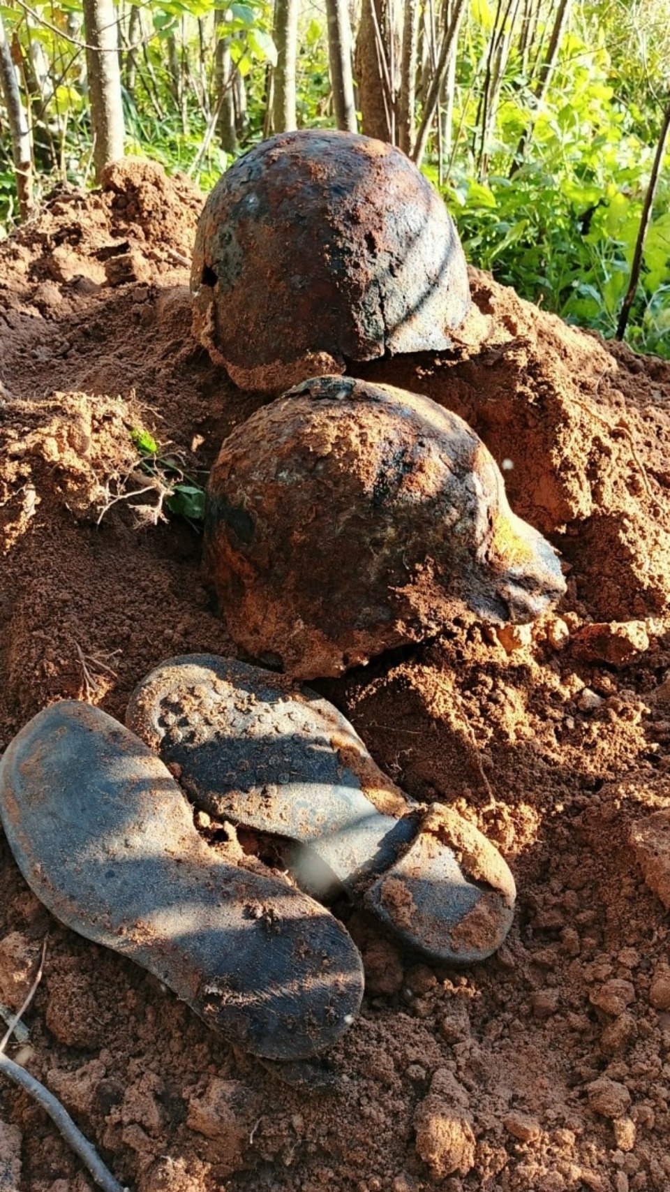 Останки 43 красноармейцев поднял поисковый отряд в Новоржевском районе Останки 43 красноармейцев поднял поисковый отряд в Новоржевском районе