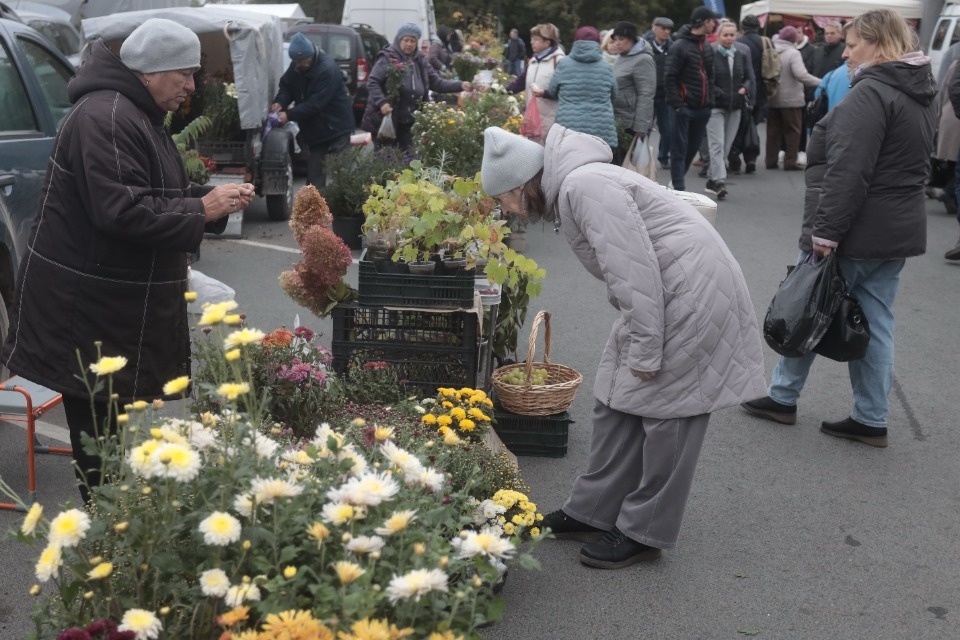 Пополняем запасы Пополняем запасы