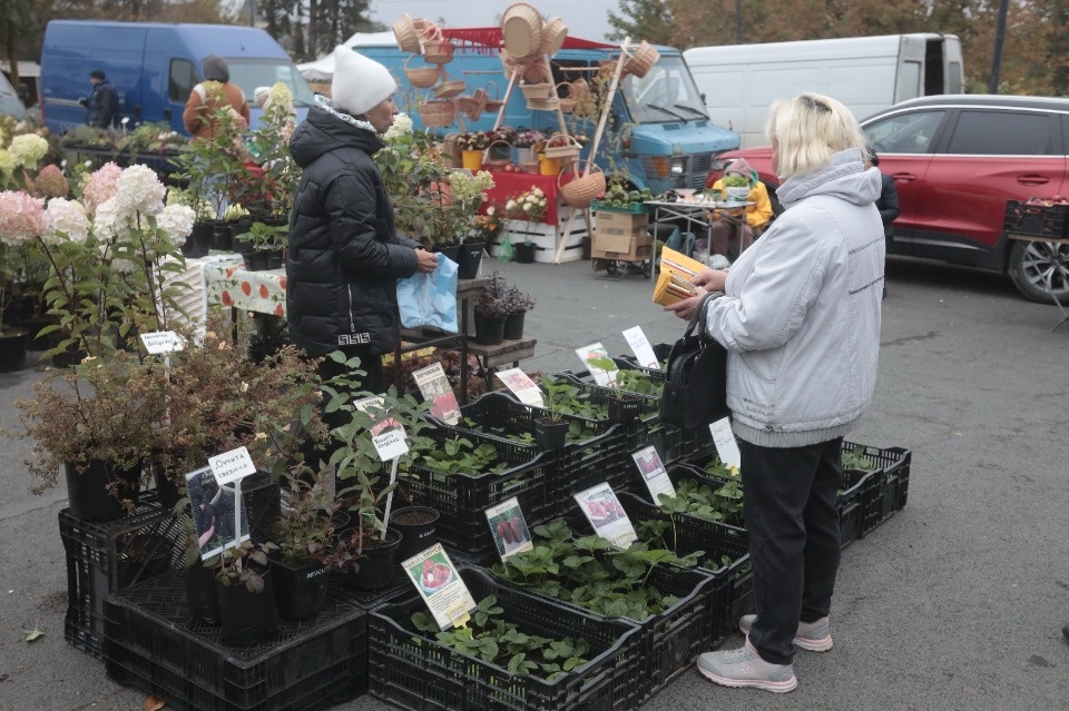 Пополняем запасы Пополняем запасы