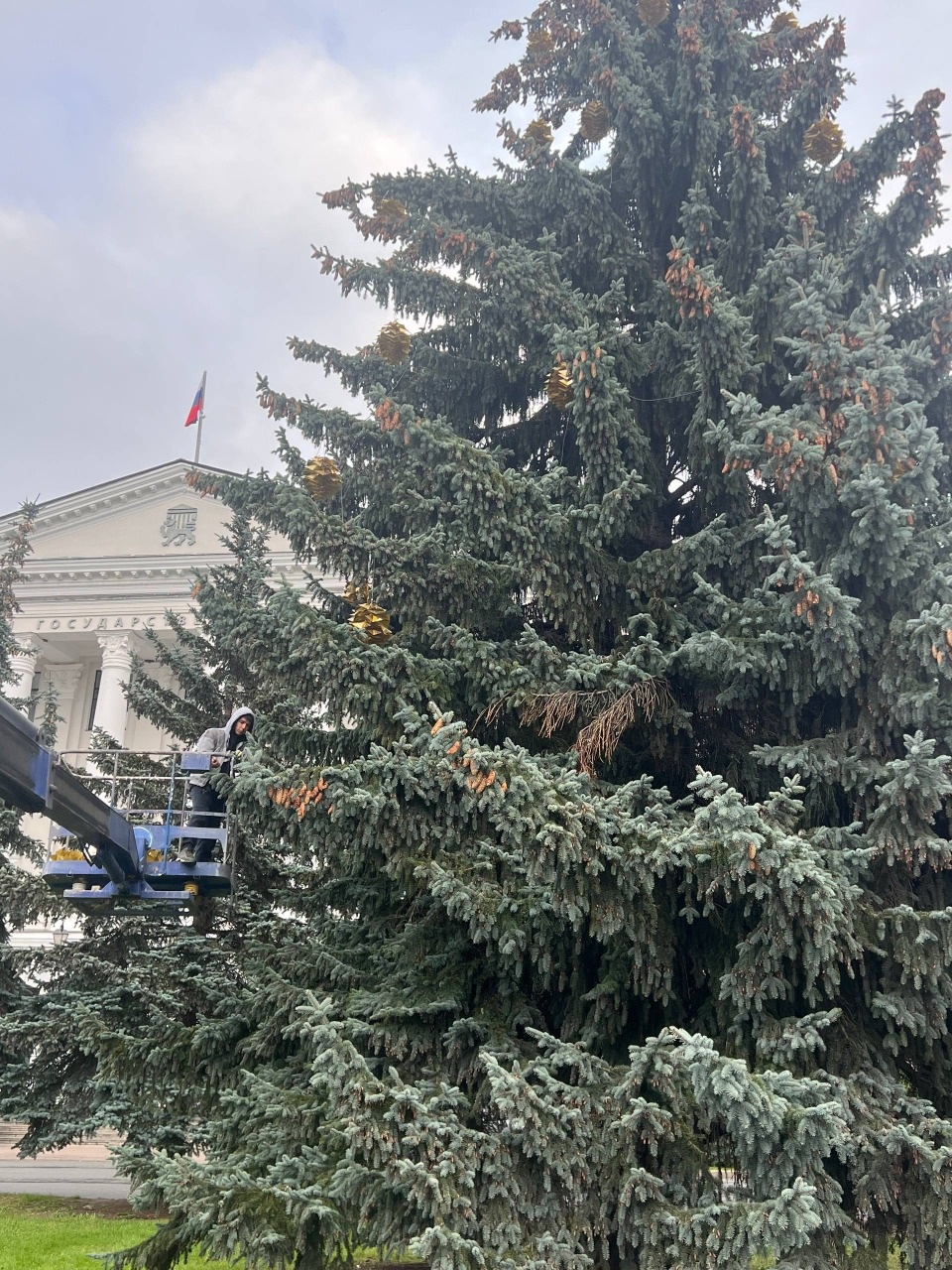 Примерка новогодних украшений прошла в Пскове Примерка новогодних украшений прошла в Пскове