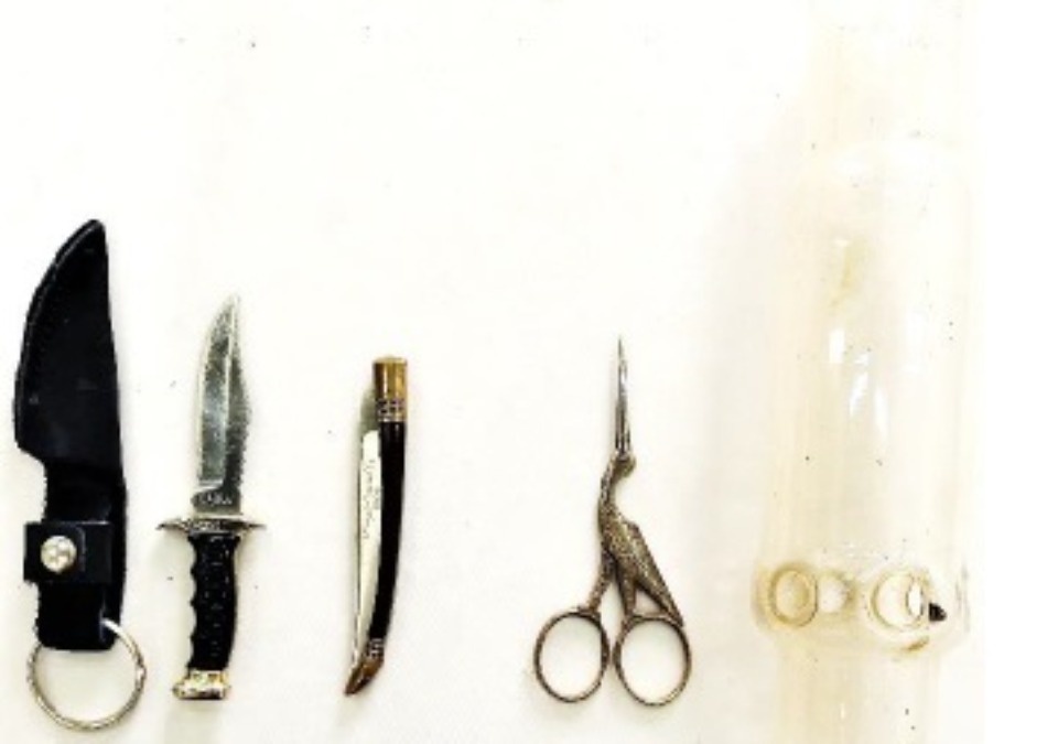 Француз пытался незаконно ввезти в Россию 44 старинных предмета