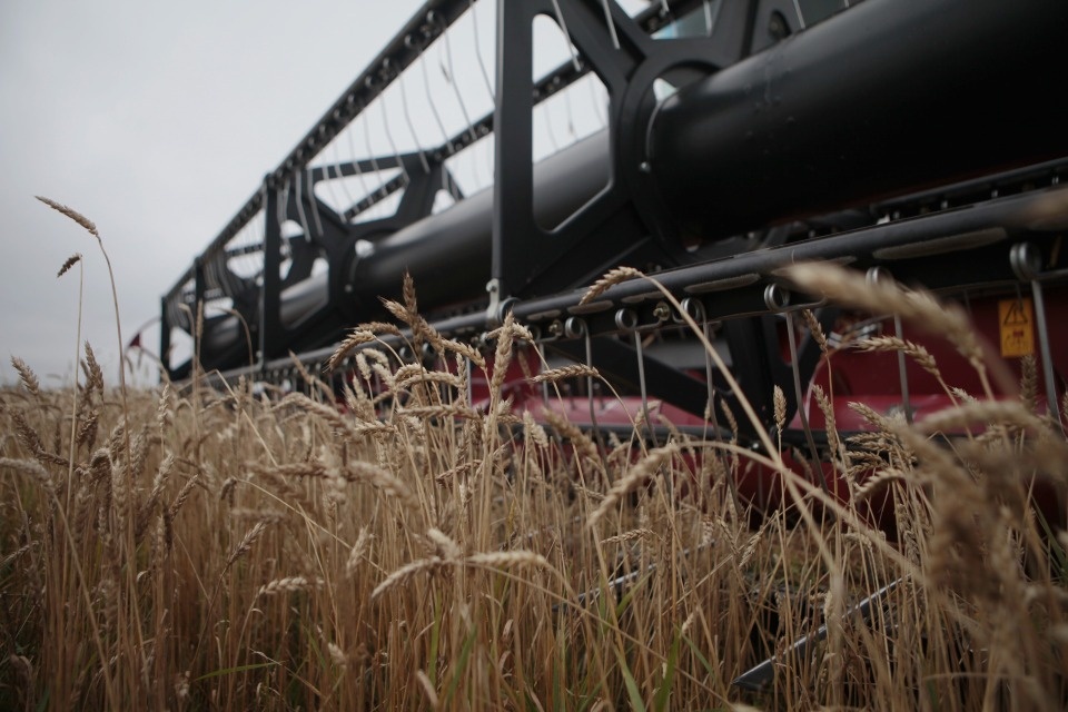 Первое место заняла Псковская область в рейтинге регионов по экспорту аграрной продукции