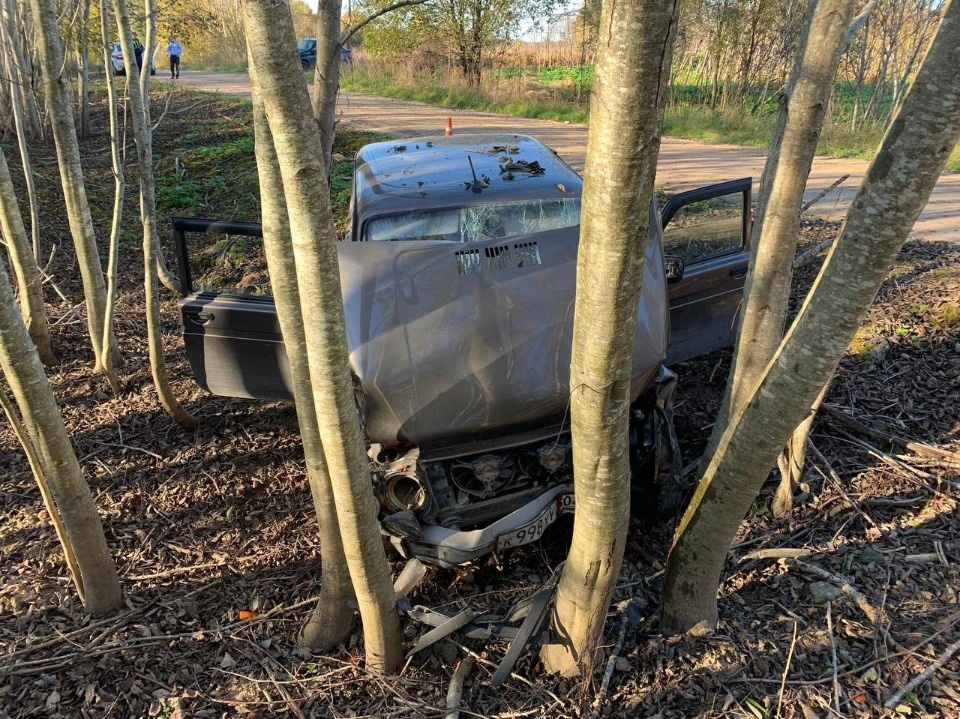 15 человек пострадали в результате ДТП в Псковской области за неделю 15 человек пострадали в результате ДТП в Псковской области за неделю