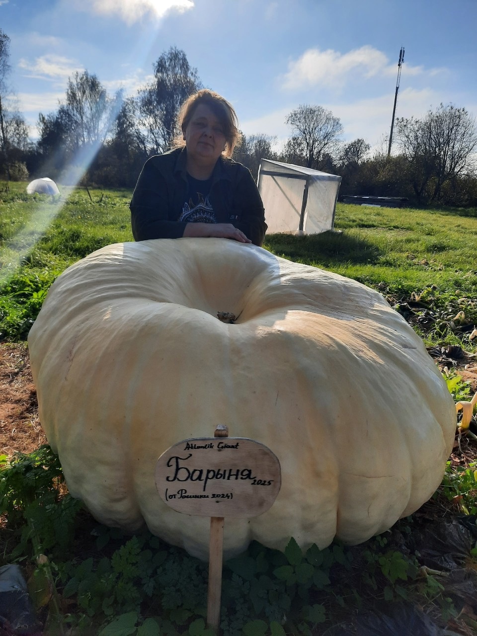 «Русалочку» весом почти в 500 кг вырастили в Псковской области