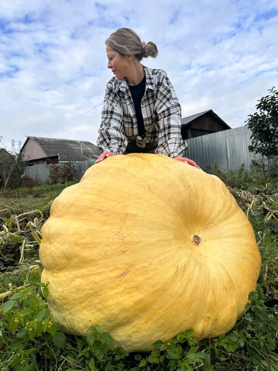«Русалочку» весом почти в 500 кг вырастили в Псковской области
