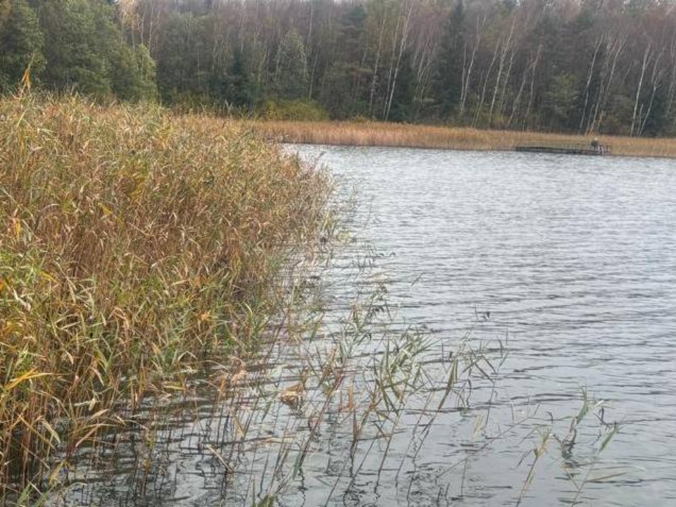 Тело мужчины обнаружили в акватории озера Лазовское в Великолукском районе Тело мужчины обнаружили в акватории озера Лазовское в Великолукском районе