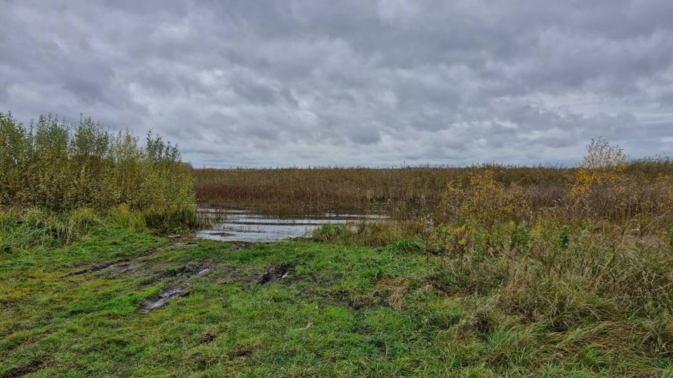 Следственная проверка проводится в Невельском районе по сообщению о гибели мужчины в озере Следственная проверка проводится в Невельском районе по сообщению о гибели мужчины в озере