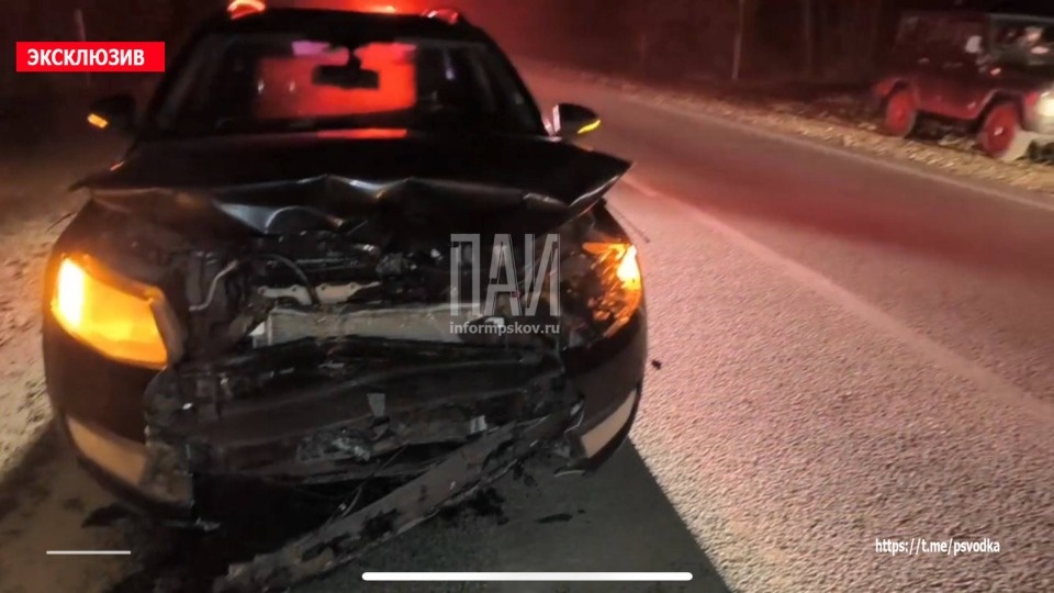 Медведь погиб в результате ДТП в Гдовском районе