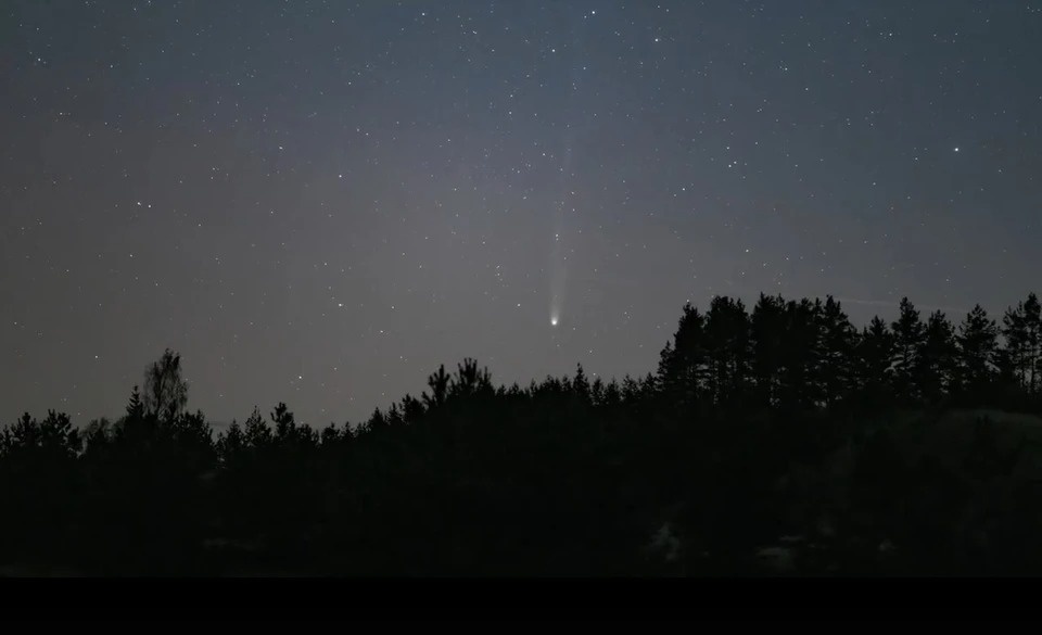 Над деревьями Изборско-Мальской долины засняли комету C/2025 A6 (Lemmon)