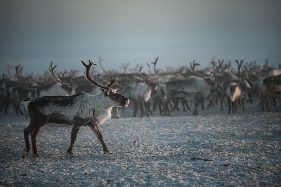 Вместе в цифровое будущее: стартует юбилейный конкурс «Ростелекома» для региональных ИТ-журналистов и блогеров 