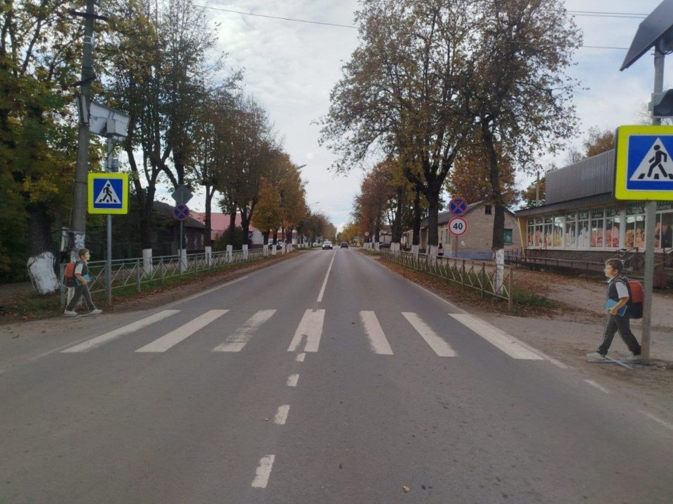 Муляжи детей появились у пешеходных переходов в Псковской области