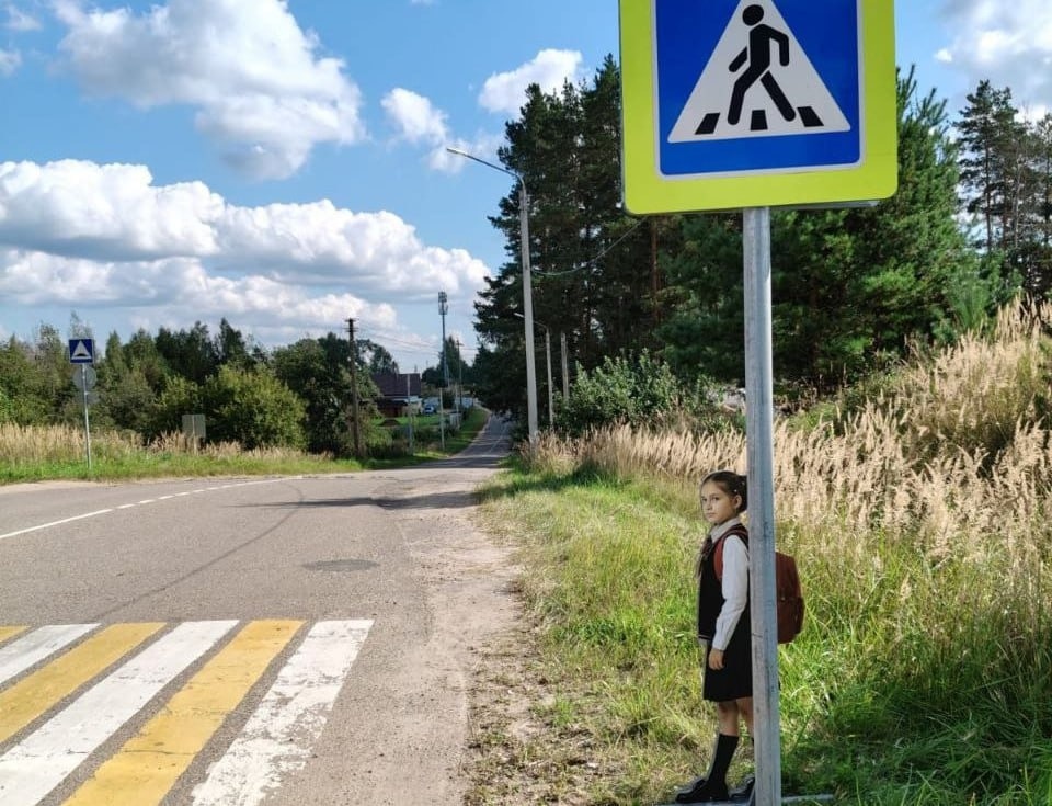 Муляжи детей появились у пешеходных переходов в Псковской области