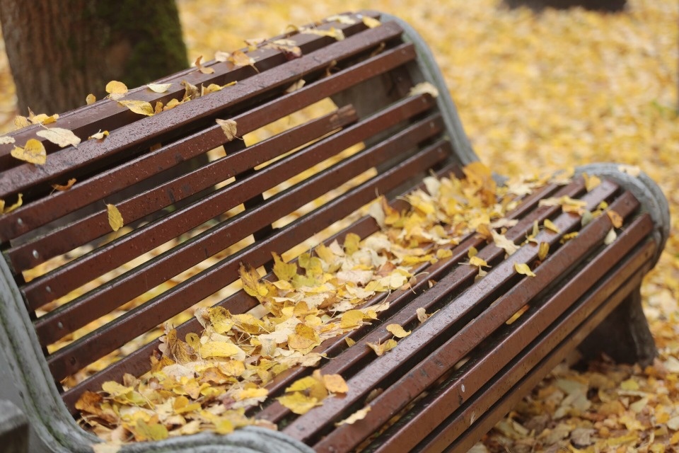 До +13 градусов прогнозируется в Псковской области 24 октября До +13 градусов прогнозируется в Псковской области 24 октября