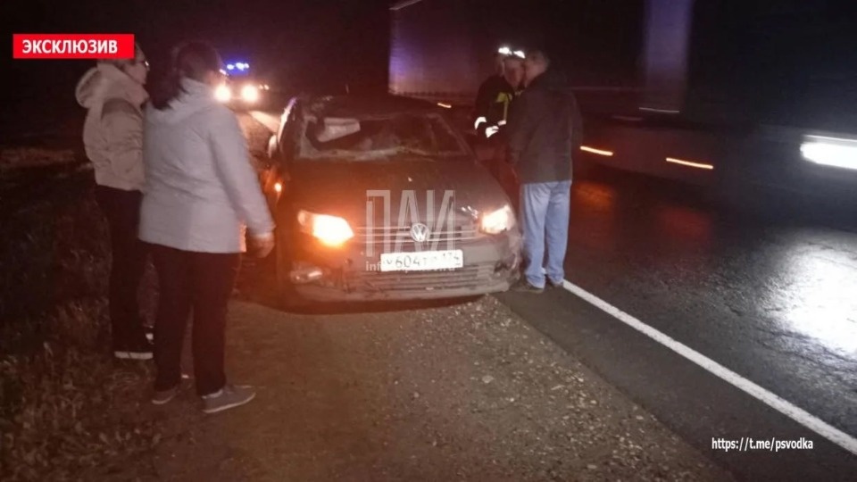 Смертельное ДТП с лосем произошло в Псковском районе Смертельное ДТП с лосем произошло в Псковском районе