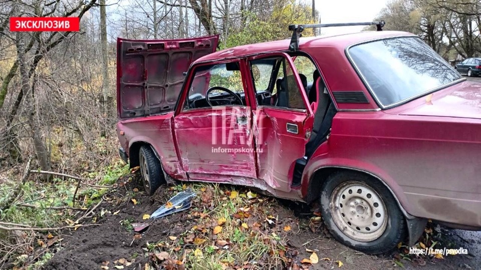 В Невеле водитель ВАЗ врезался в столб из-за выскочившего на дорогу кота В Невеле водитель ВАЗ врезался в столб из-за выскочившего на дорогу кота