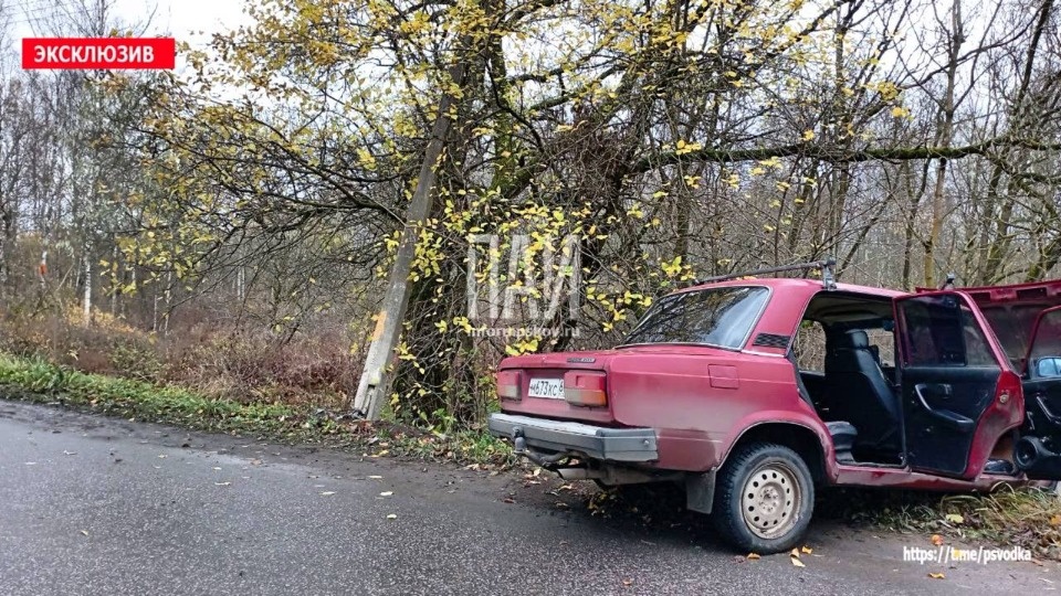 В Невеле водитель ВАЗ врезался в столб из-за выскочившего на дорогу кота В Невеле водитель ВАЗ врезался в столб из-за выскочившего на дорогу кота