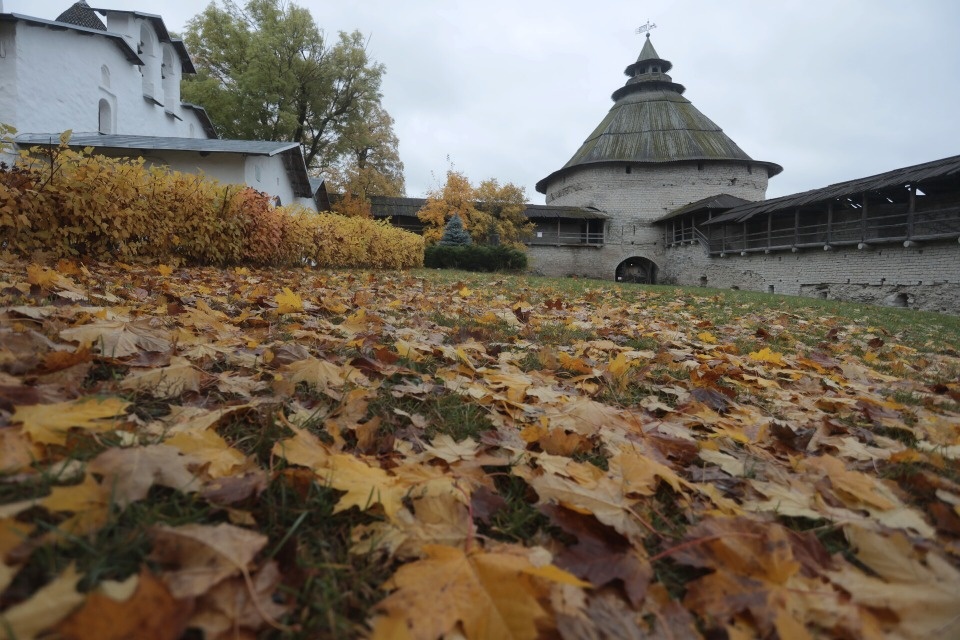 До +9 градусов ожидается в Псковской области 28 октября До +9 градусов ожидается в Псковской области 28 октября