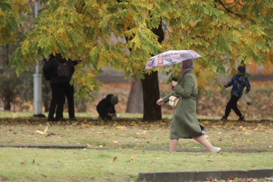 Небольшой дождь и до +9 градусов ожидают псковичей 29 октября Небольшой дождь и до +9 градусов ожидают псковичей 29 октября