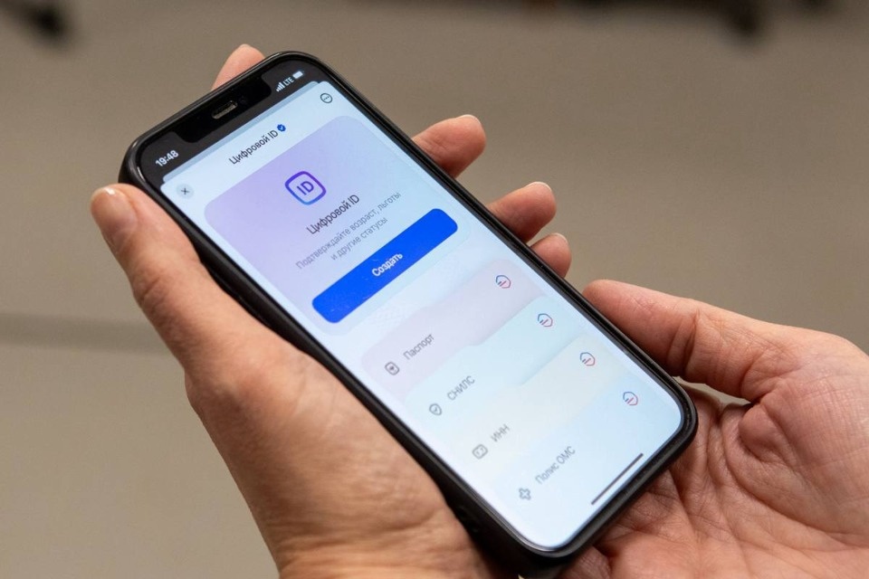 В Псковской области семьи смогут подтвердить статус многодетной через МАХ