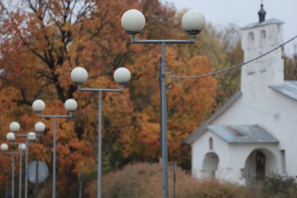 До +11 градусов и дожди прогнозируются в Псковской области 31 октября