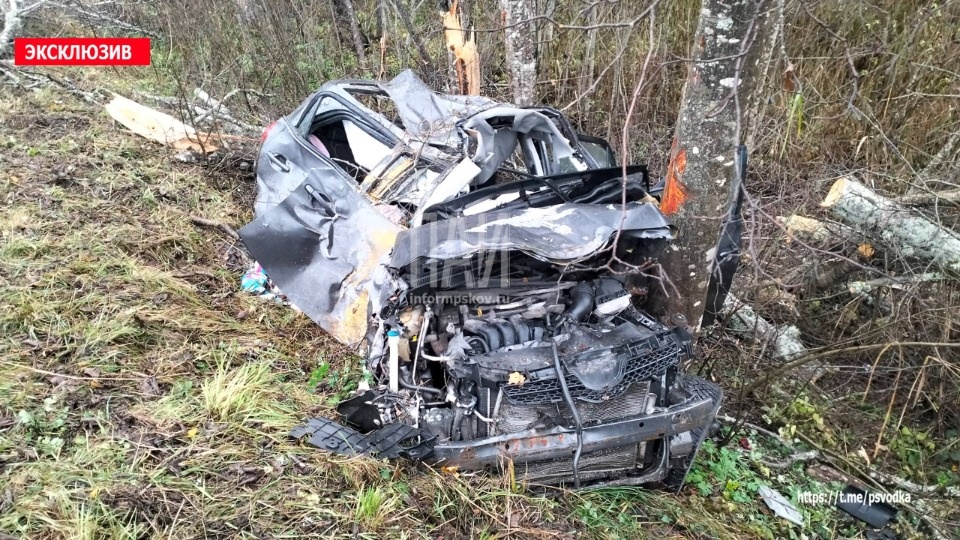 ДТП с погибшим и пострадавшим произошло в Гдовском районе ДТП с погибшим и пострадавшим произошло в Гдовском районе