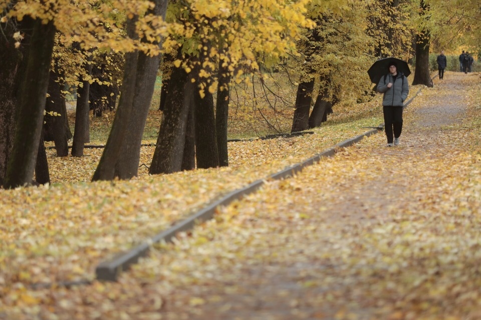 До +11 градусов ожидается в Псковской области 1 ноября