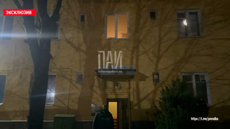 Женщина погибла на пожаре в квартире в Великих Луках