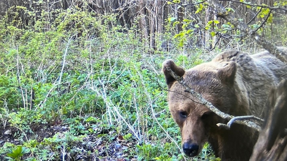 Жизнь в пути