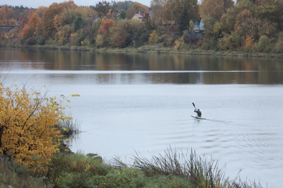 Дождливый день ожидает жителей Псковской области 7 ноября Дождливый день ожидает жителей Псковской области 7 ноября