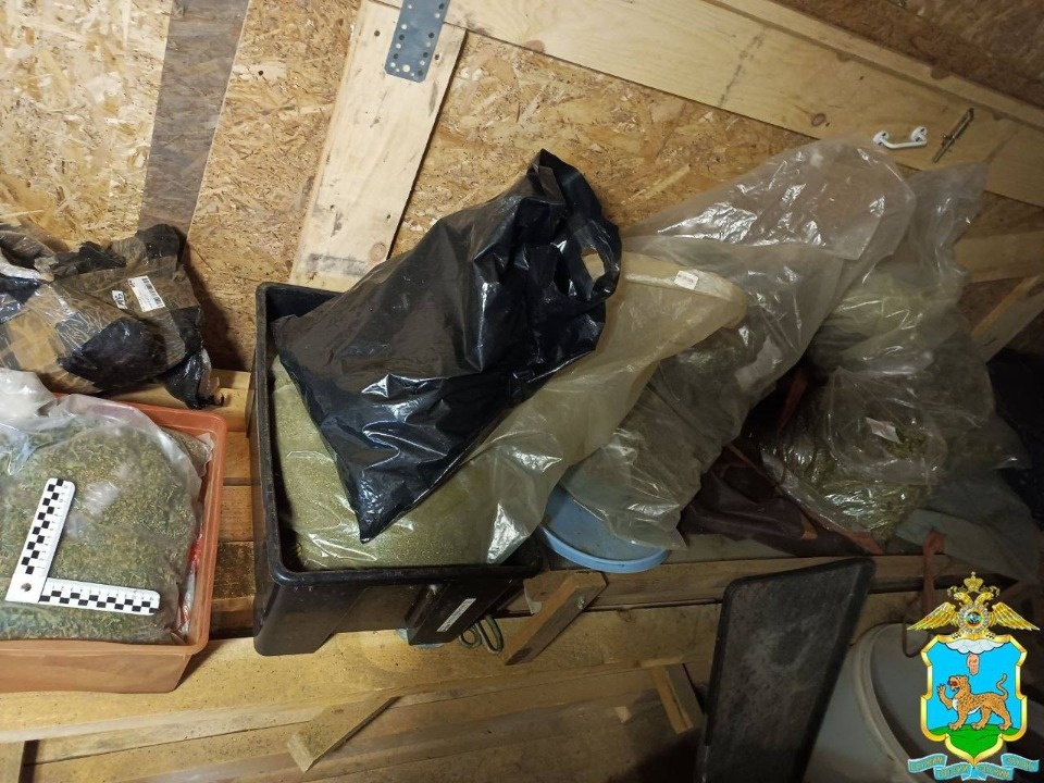 Более 30 кг наркотиков изъяли полицейские в Псковской области Более 30 кг наркотиков изъяли полицейские в Псковской области