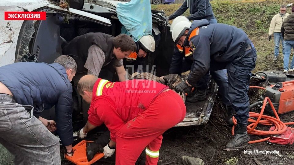 Женщину зажало в автомобиле, вылетевшем в кювет под Псковом Женщину зажало в автомобиле, вылетевшем в кювет под Псковом