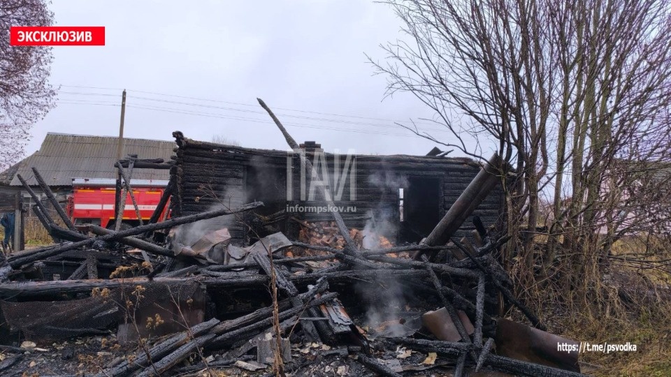 Тело мужчины обнаружили на пожаре в Локнянском районе 